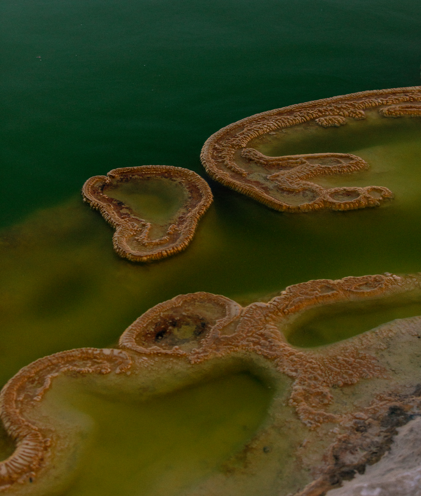 009 Mexico III Oaxaca Water