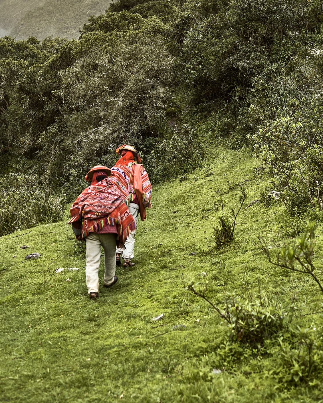 Pachamama's Land Part II 003