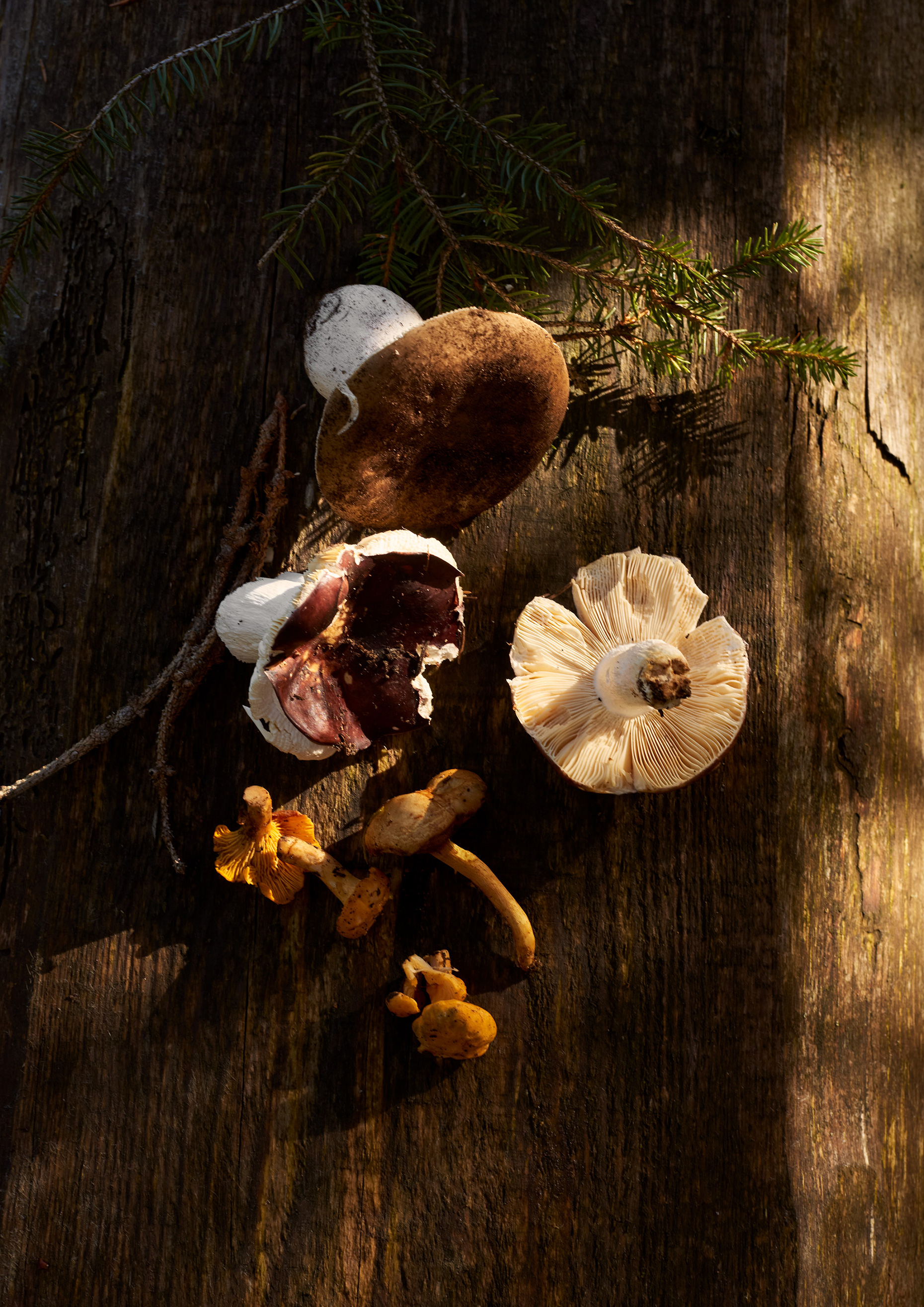 Microsoftteams Image (115)