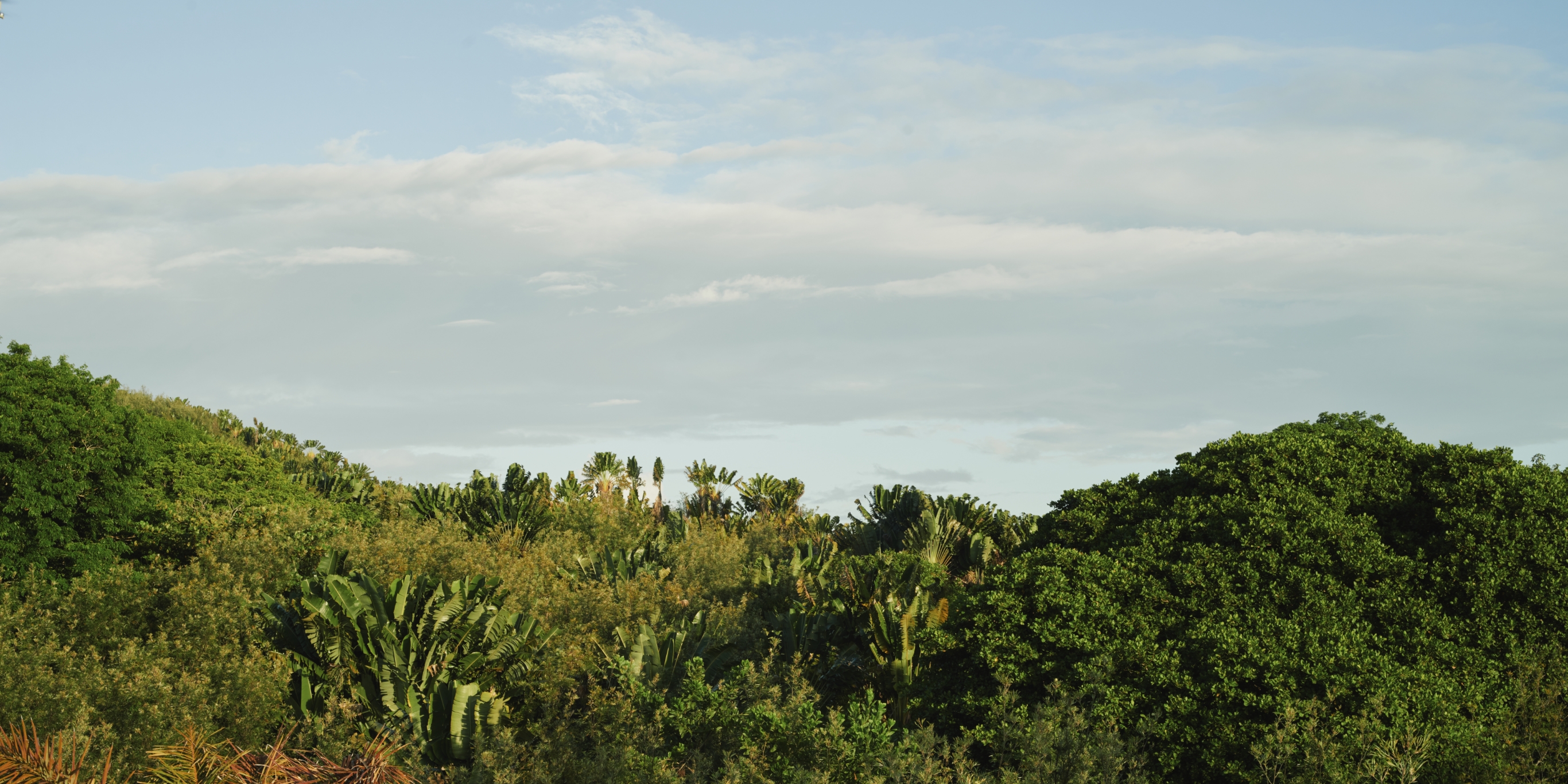 00 Voaara Header