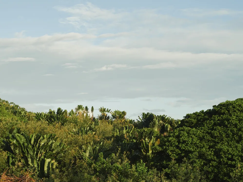 00 Voaara Header
