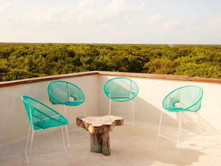 03 Papaya Playa Project Chairs