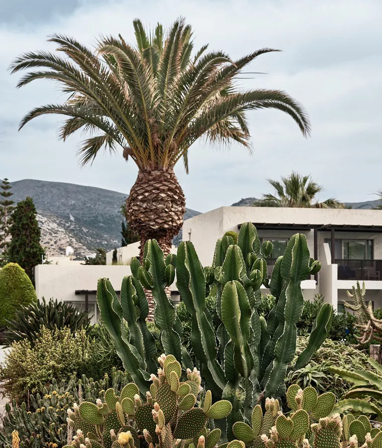 Cretan Malia Park Design in Malia