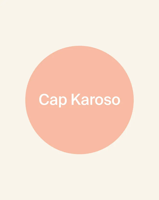 DH Arena Spaker Illu Capkaroso