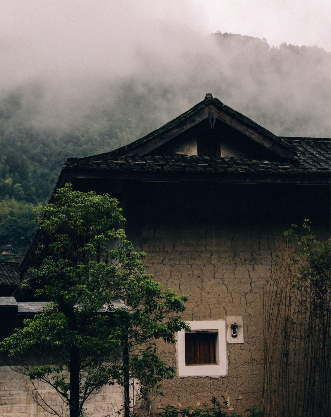 008 Foggy Destinations BP