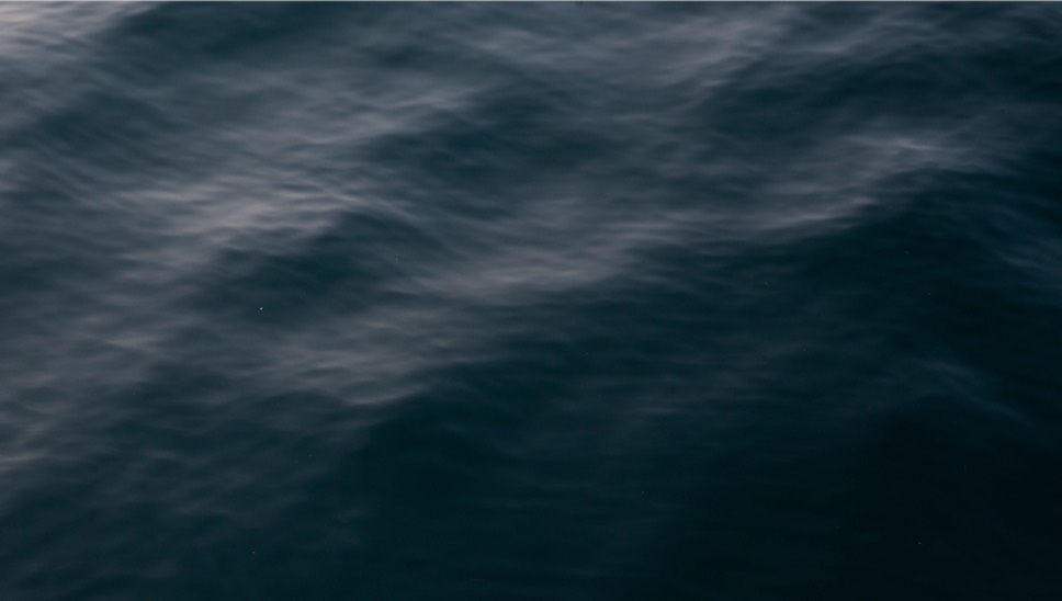 14 MBO Filario Hotel And Residences Waves