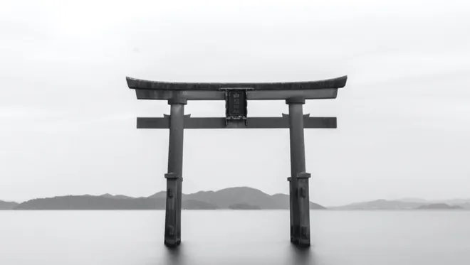 DH Japan Bullet Train 13