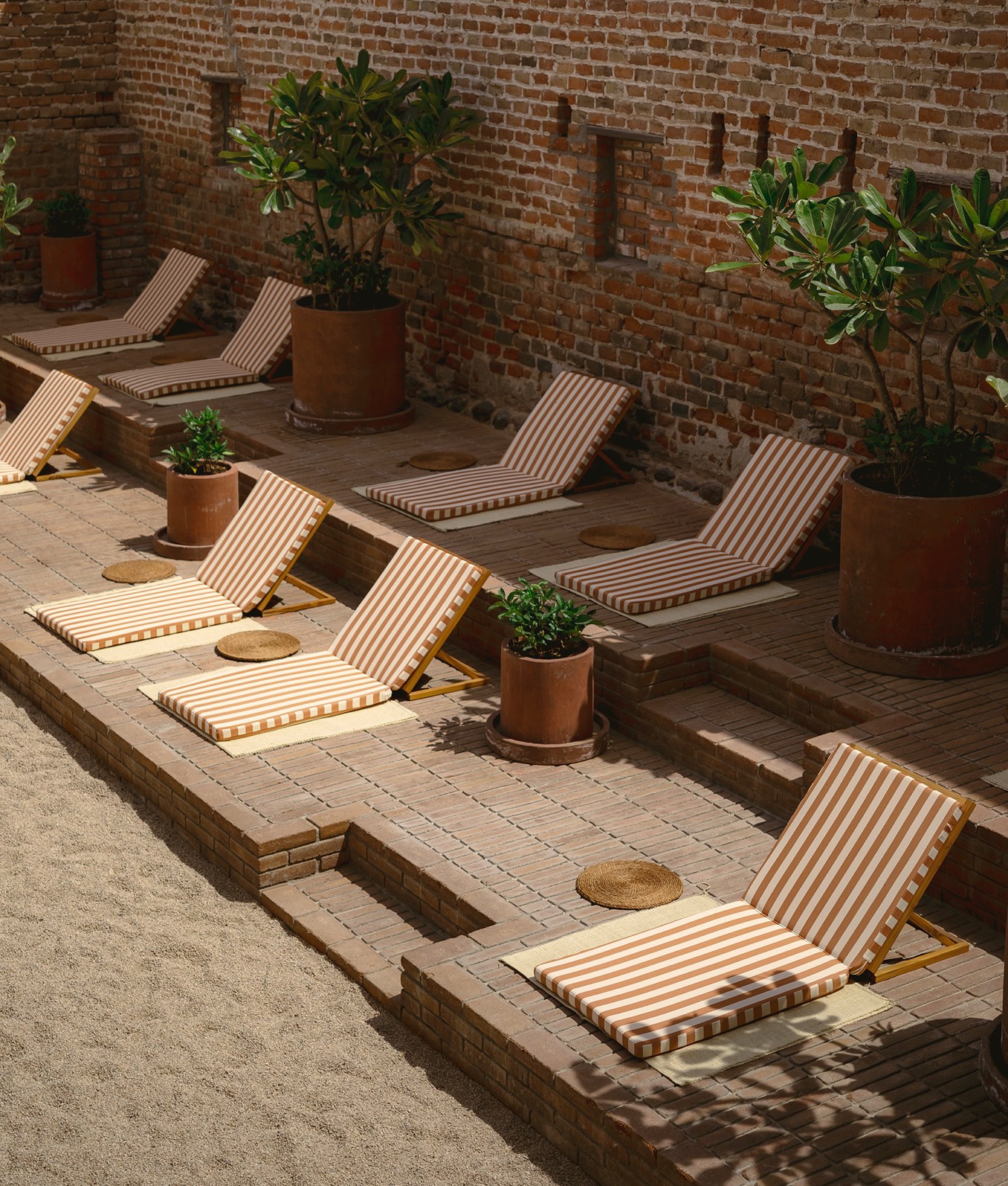 Baja Club Hotel Theme Box 01 Rejuvenate 2