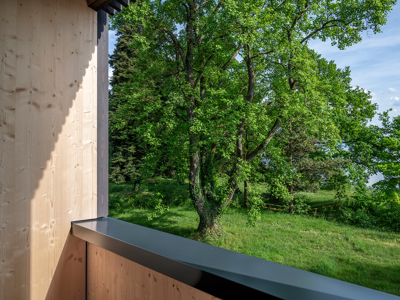 Seegut Zeppelin Panoramic Forest Room R 02