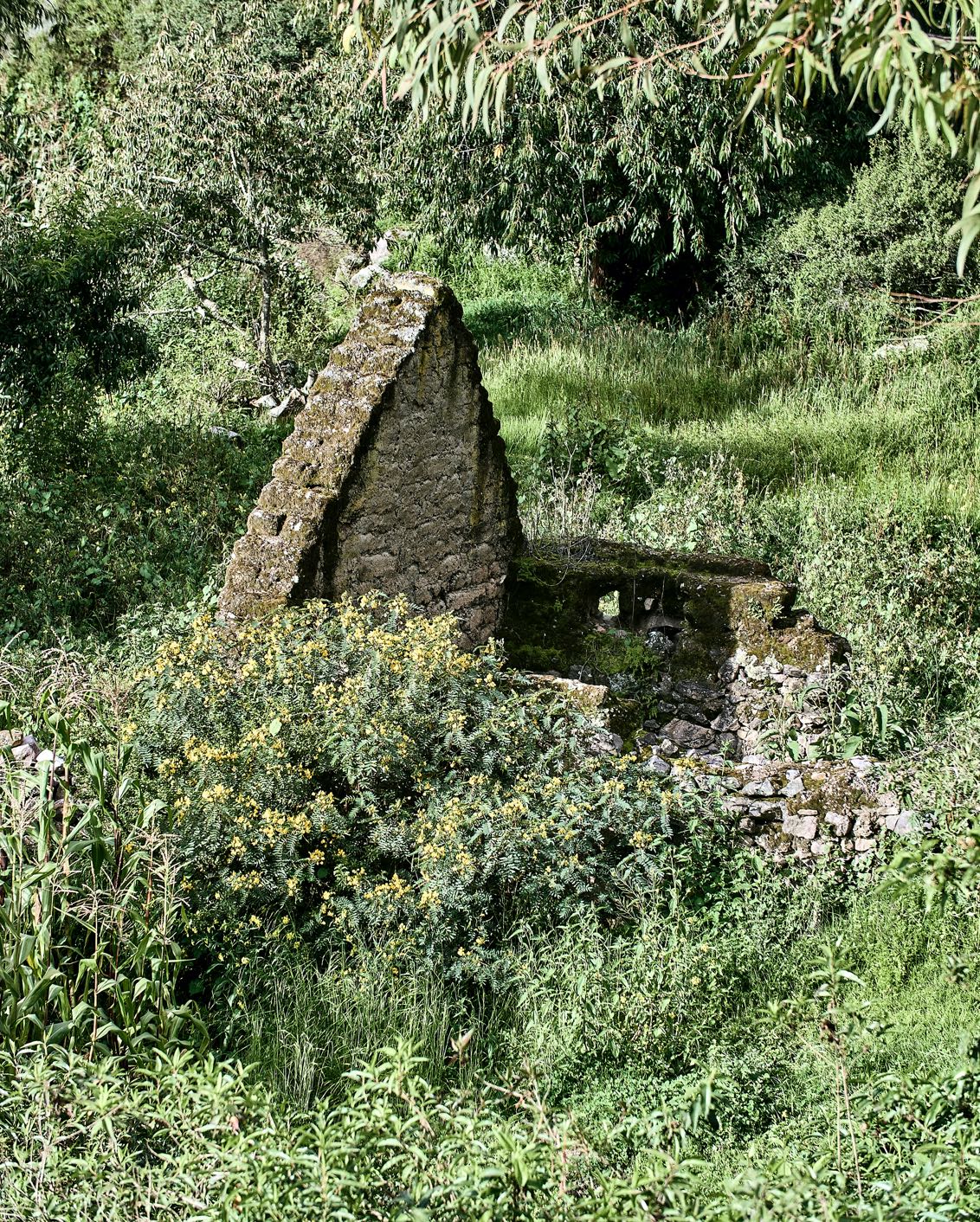 Pachamama's Land Part I 003.3