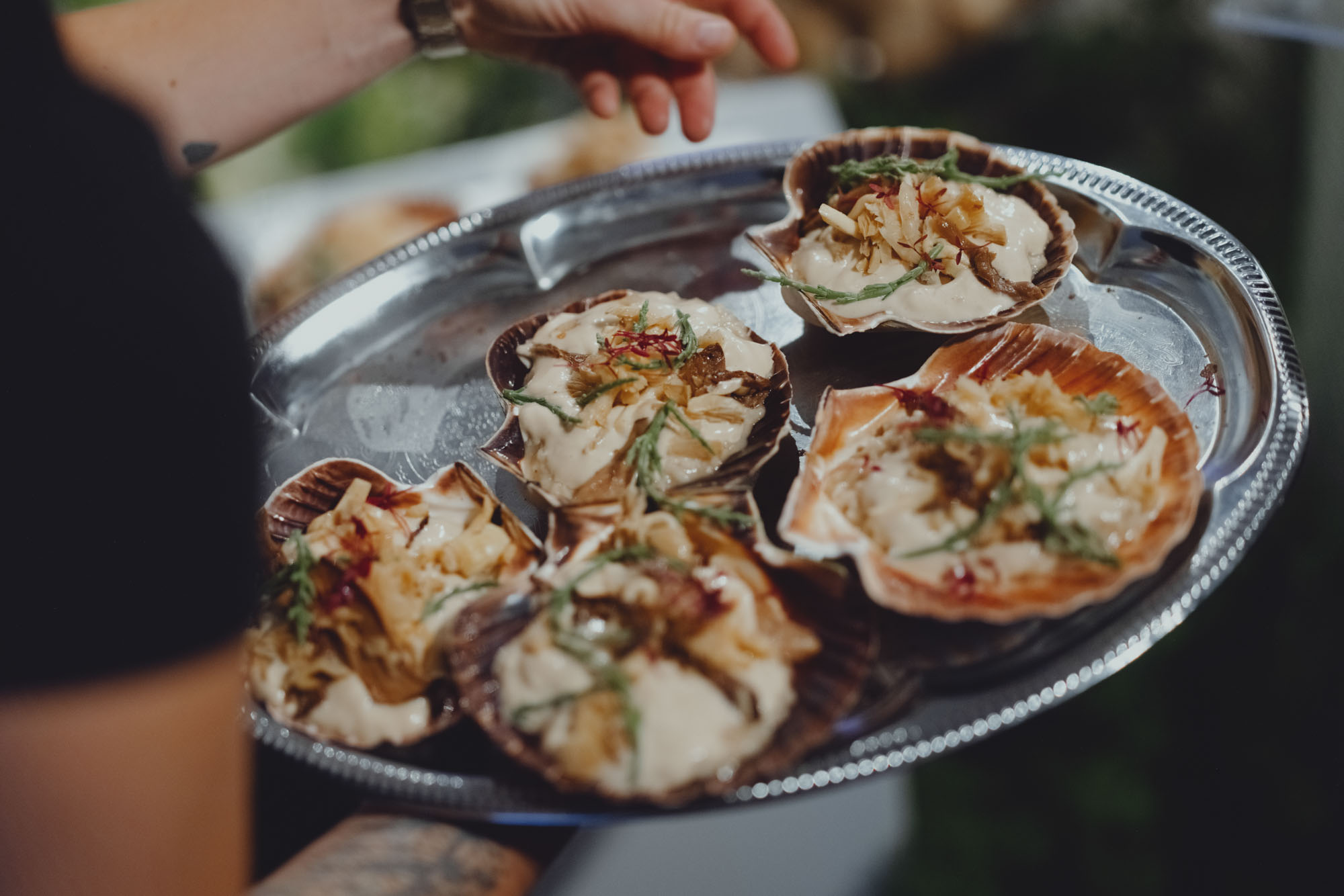 DH25 Aneveningwith Hamburg 11