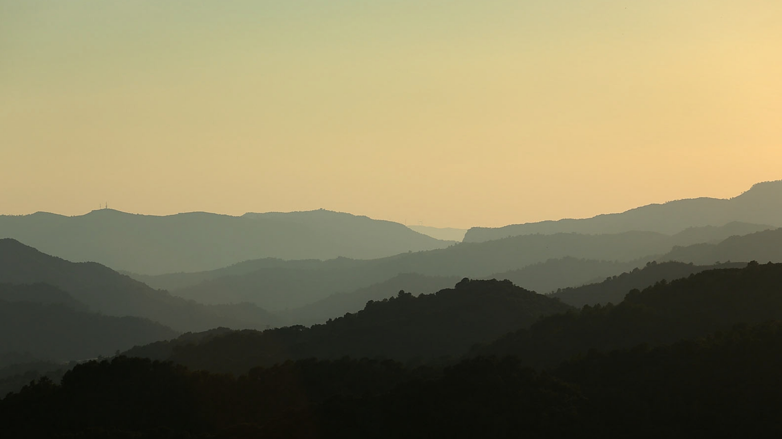 Where To Go 2024 08.1