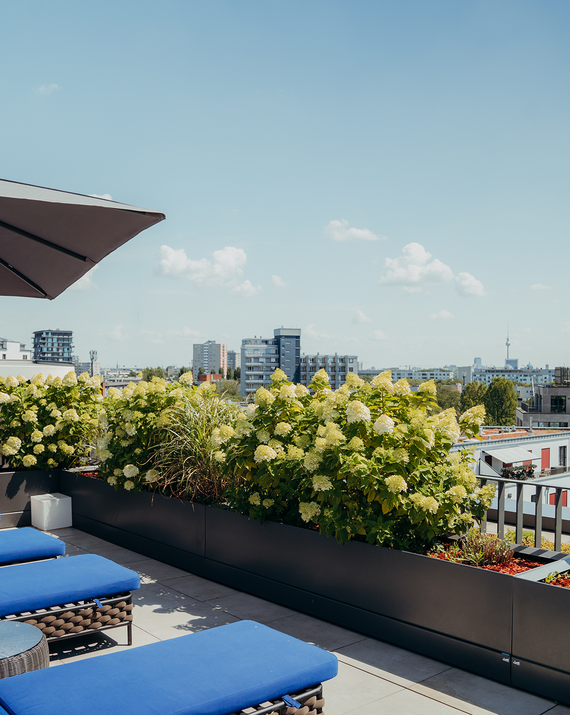 KPM Hotel & Residences