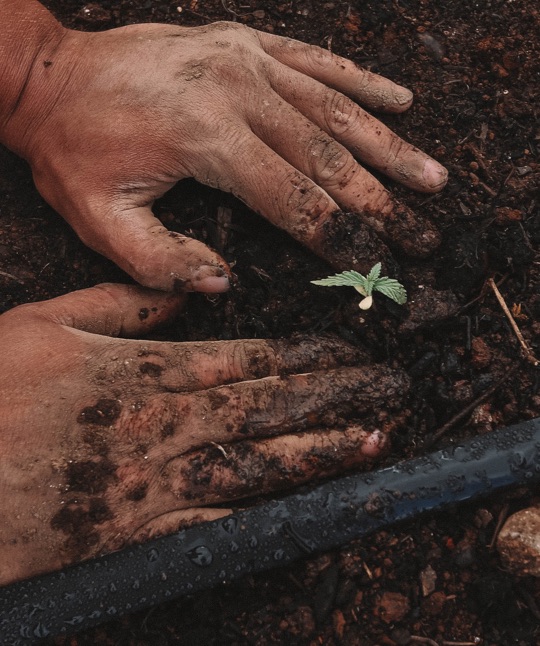 BP Cervo Panel Food Sustainability 03