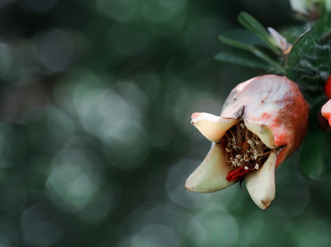 DH Journal Hotel Scents 18