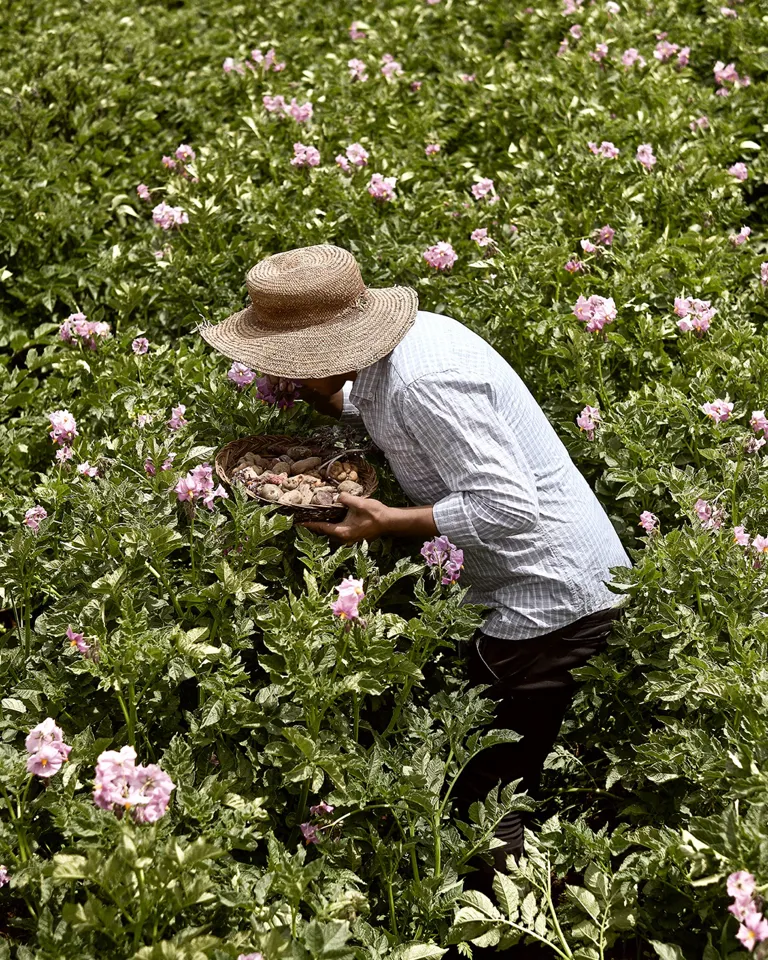 Pachamama's Land Part III 003