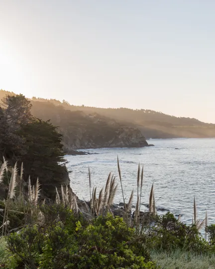 006 Timber Cove Resort Coast Nature Ocean