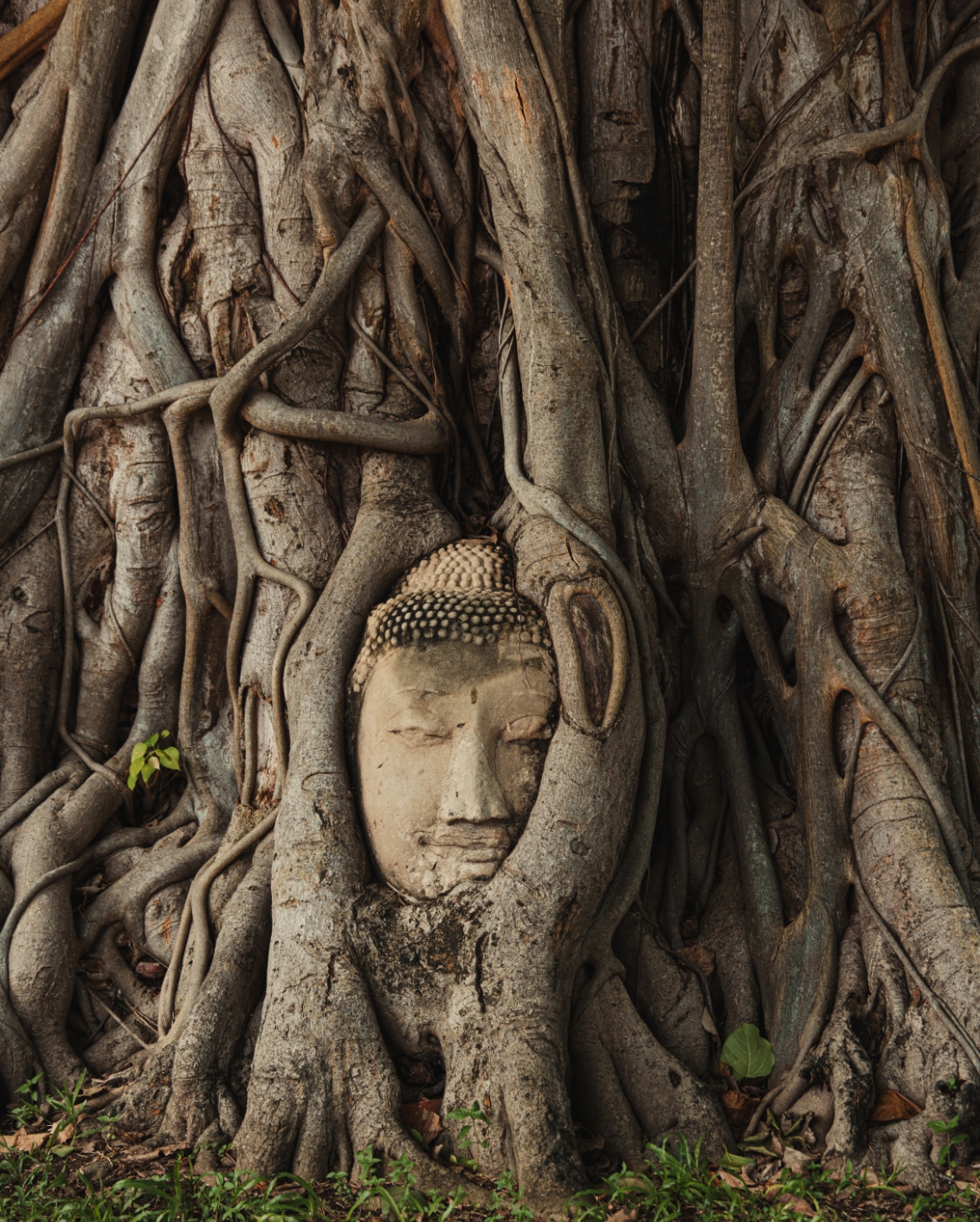 02 Ayutthaya Eternal
