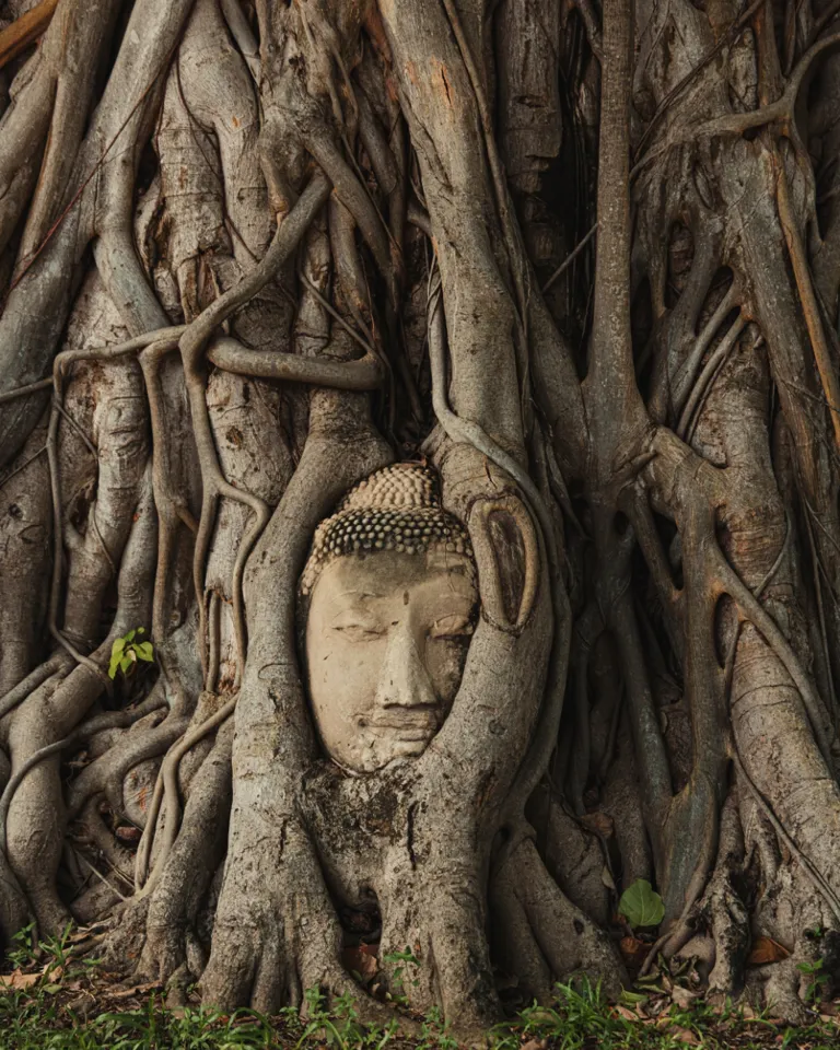 02 Ayutthaya Eternal