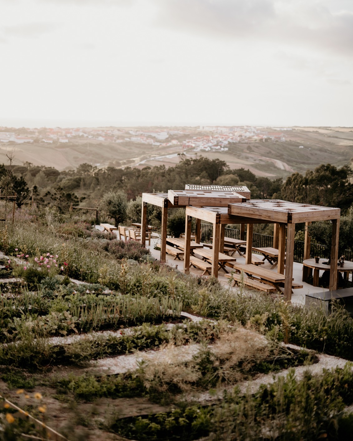 DH Journal Hotel Scents 12 B