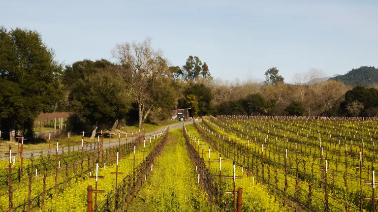 Harmong Guest House Theme Box 01 Food And Drink