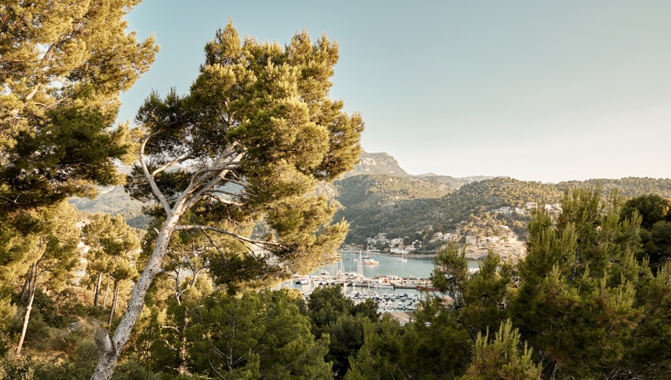 16 Destination Mallorca Port De Soller Harbour View