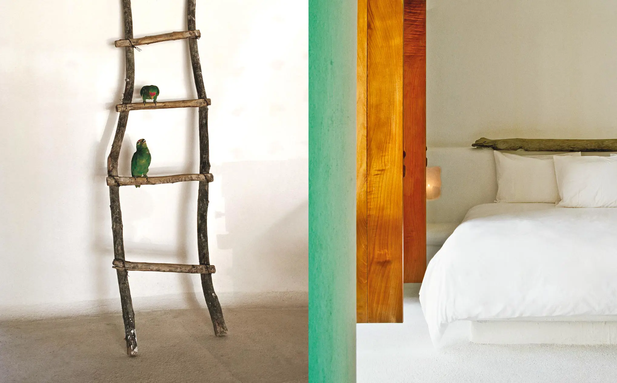 Azucar Interior Design 002 N