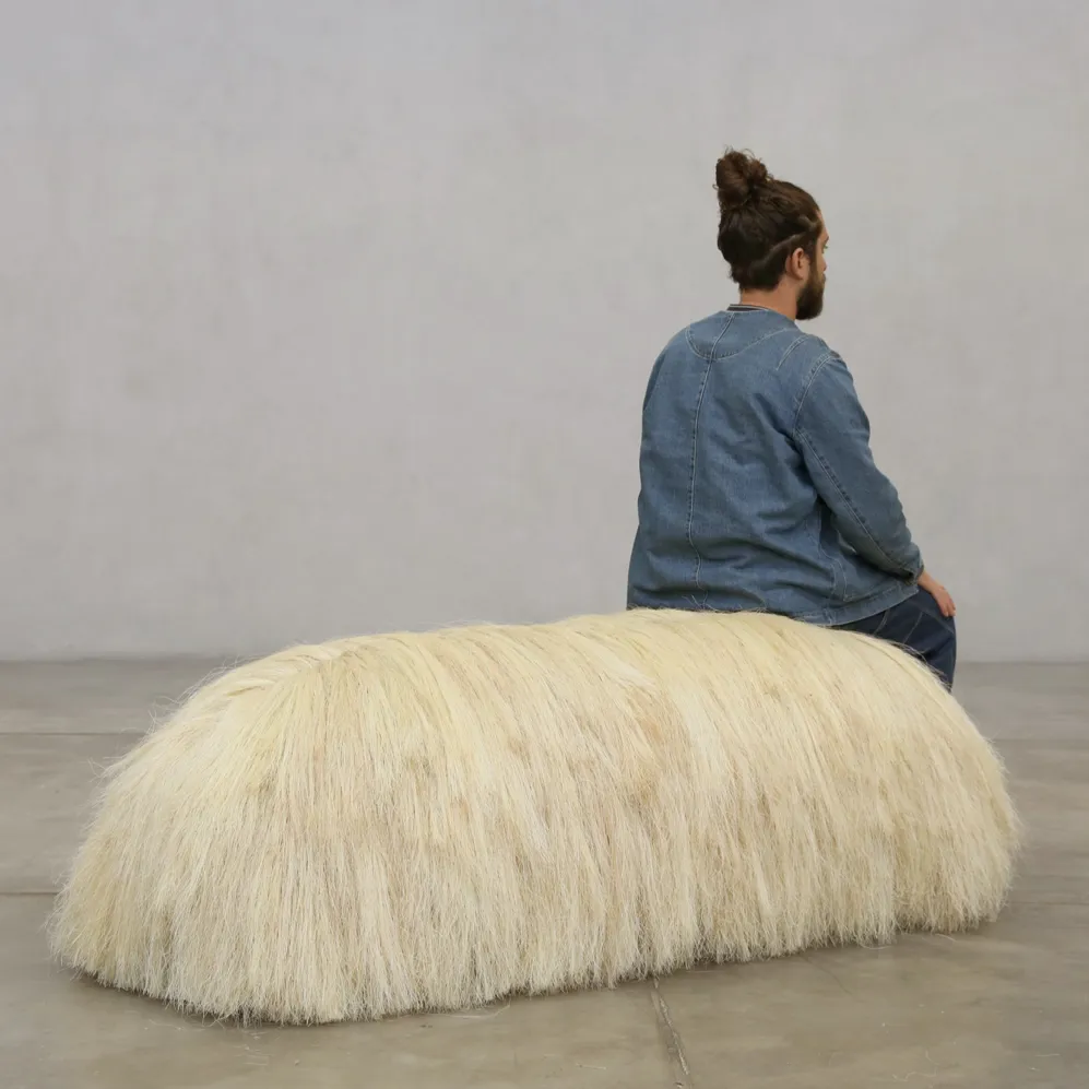 Design Diaries Fernando Laposse Keyvisual