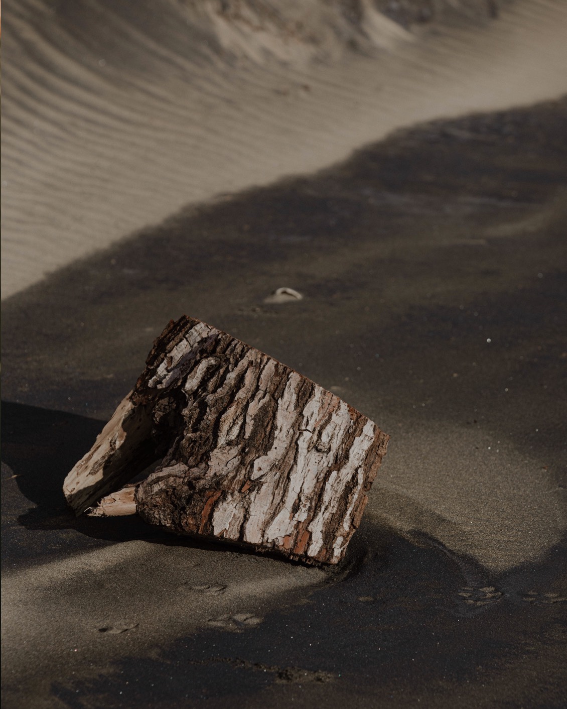 DH Journal Hotel Scents 04 C