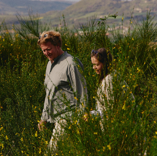 HP MBO Vocabolo Moscatelli