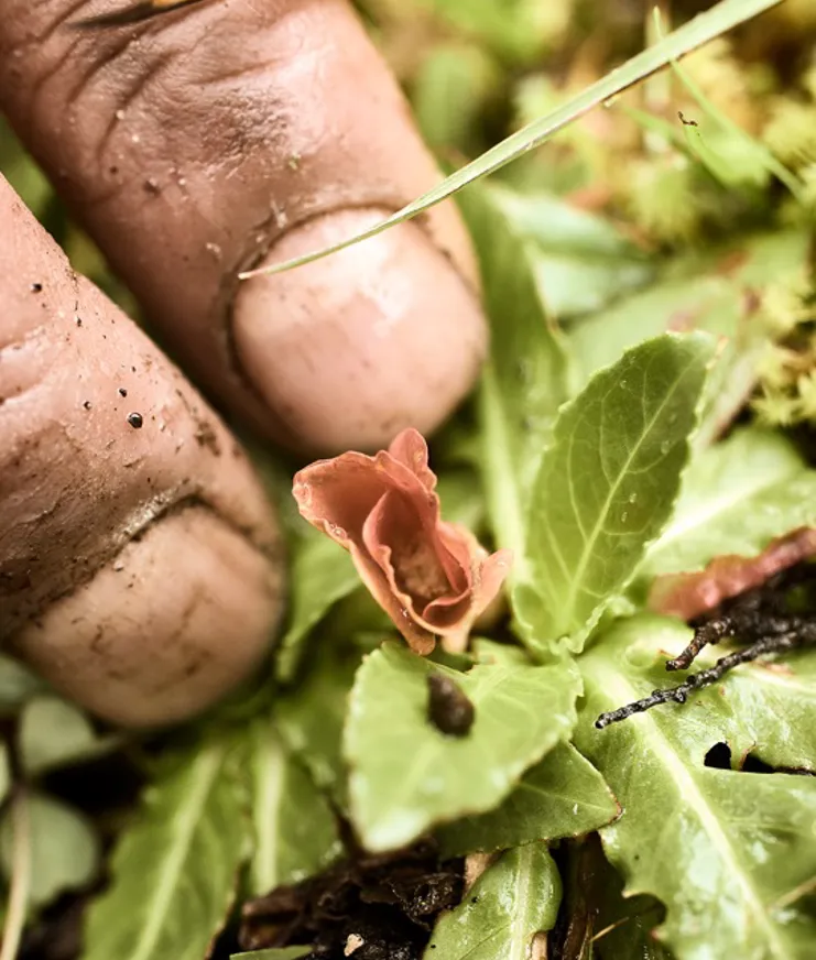 Pachamama's Land Part II 006