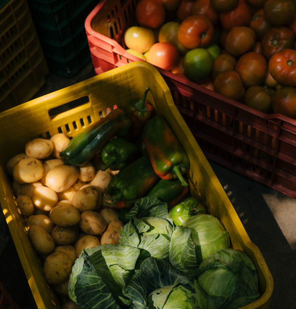 Hotel Belmar Theme Box 02 Sustainability 3