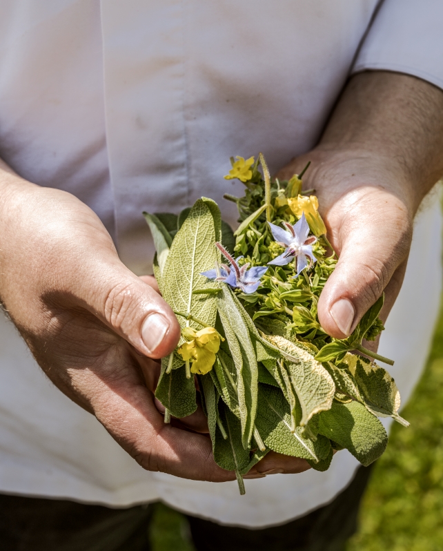 Seegut Zeppelin Usp 02