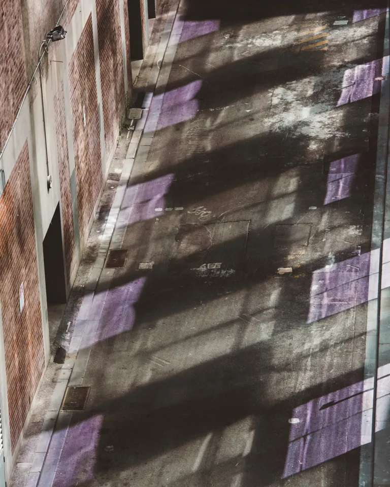 Culture Article Patone Veri Peri 09 Adelphi