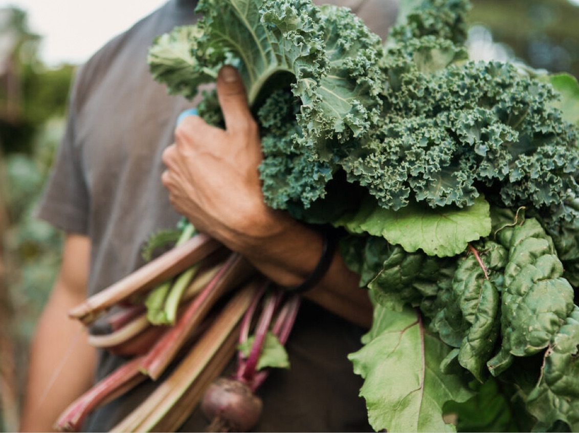 003.3 Further About Page