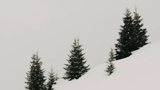 009 Rote Wand Walch Nature Winter