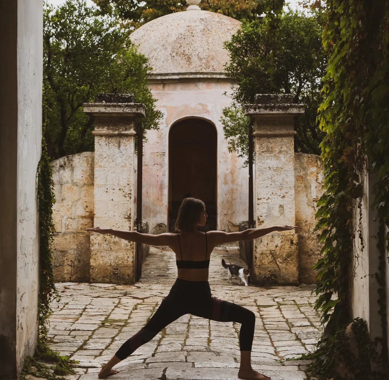 MICE Groups Request Submission