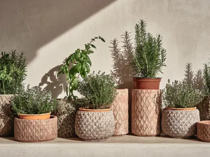 Cretan Malia SP New 03