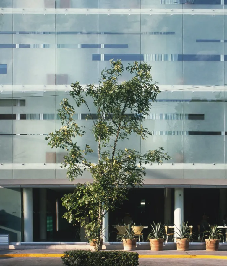 Habita Architecture