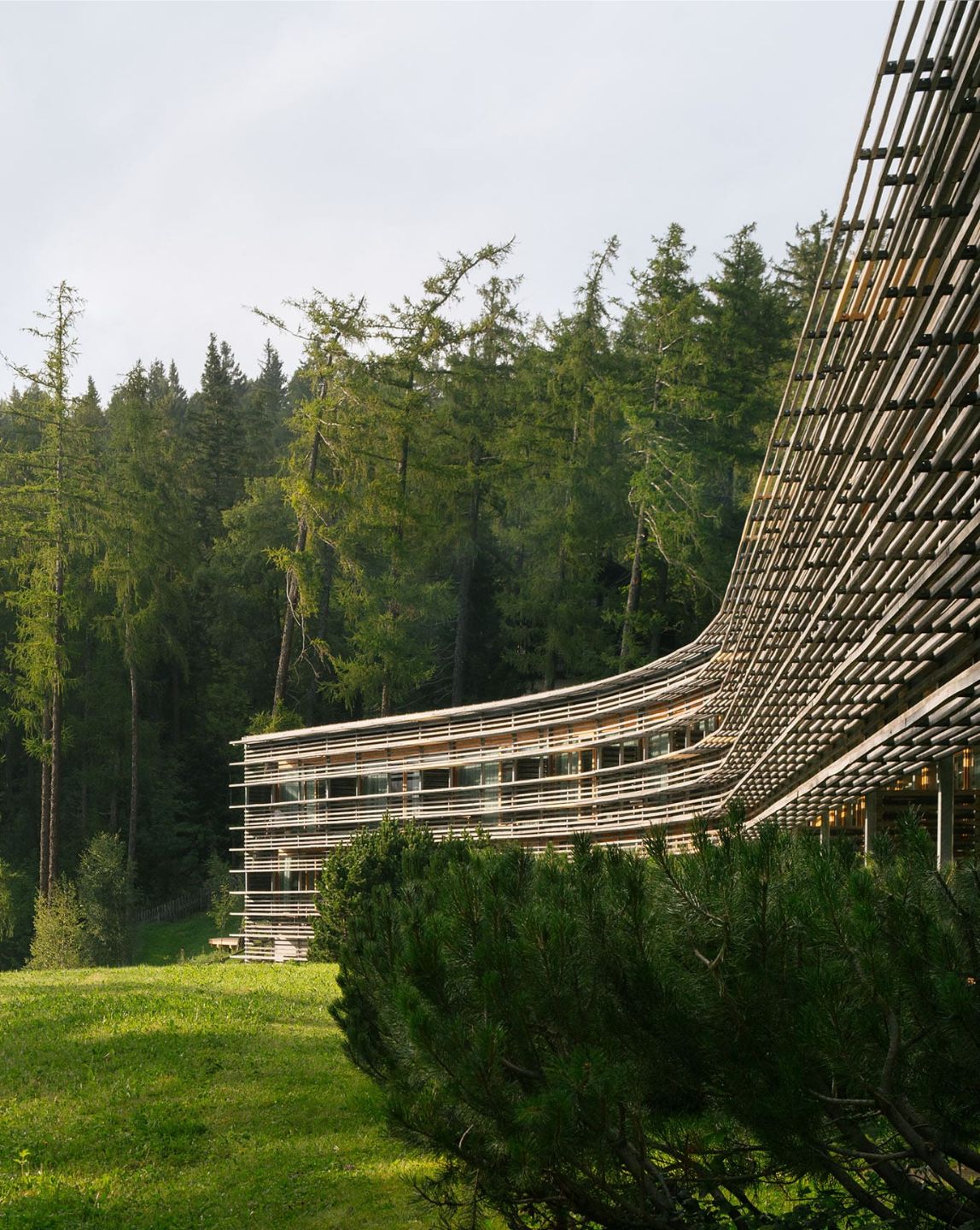 DH Arena BYS Hotel 01 Vigilius