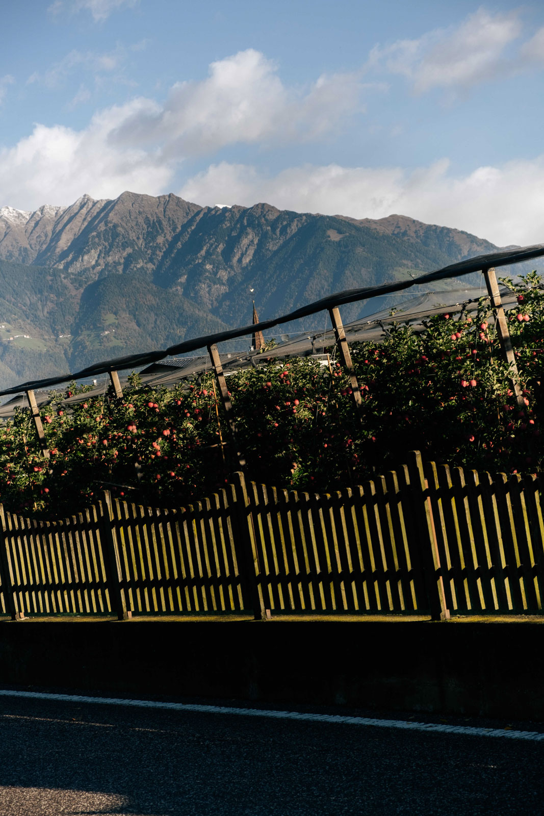 Day 03 Workshops 001