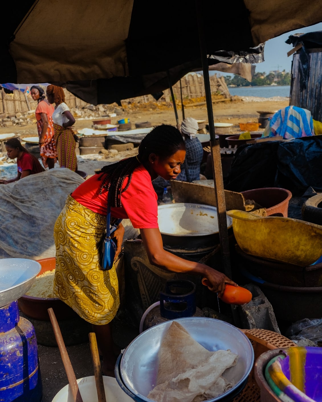 MBO La Maison Palmier Image 02B