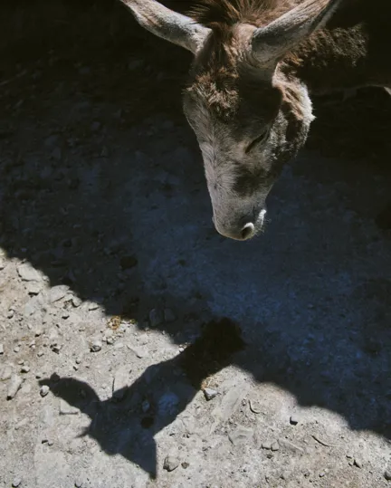 09 Directions Costa Rica