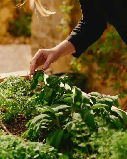 007 MBO Vocabolo Moscatelli