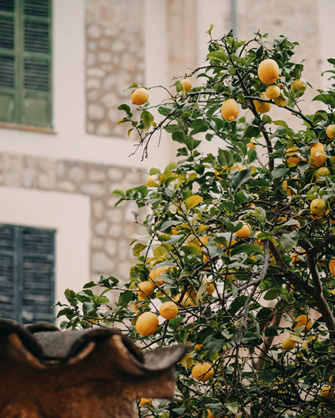 Homepage Destination Guides Box Week Mallorca@2X