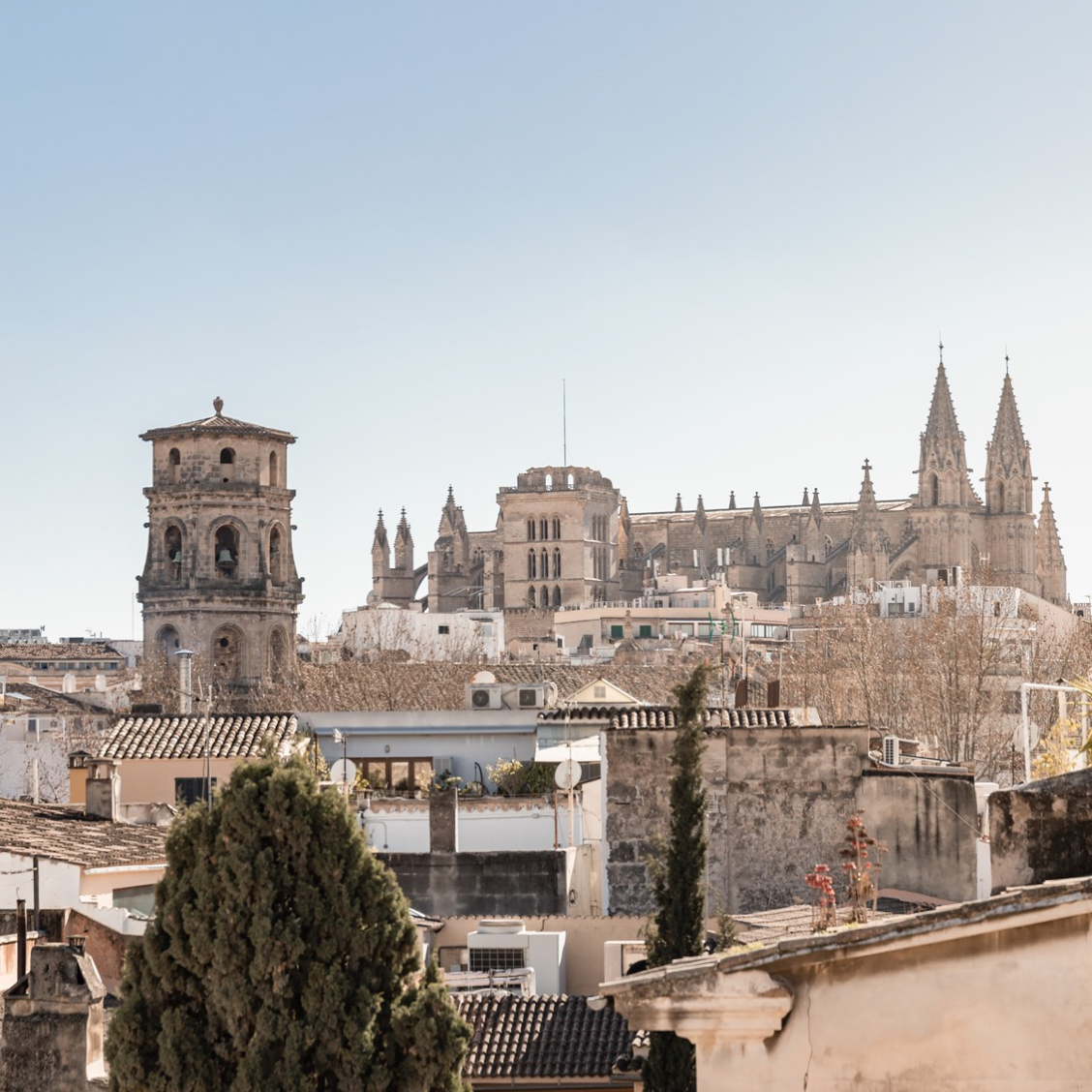 Nobis Hotel Palma Location (1)