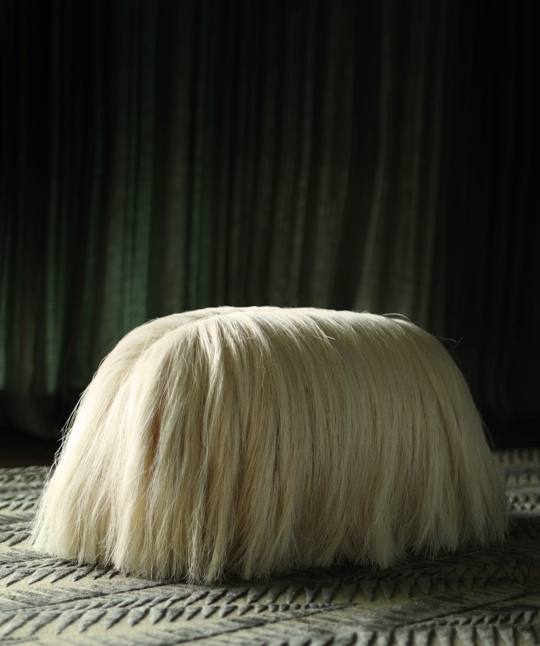 Fernando Laposse The Dog