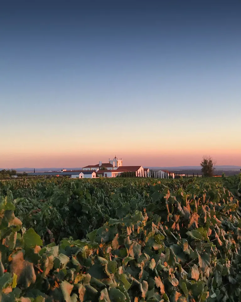 DH26 Journal Best Wine Hotels 12