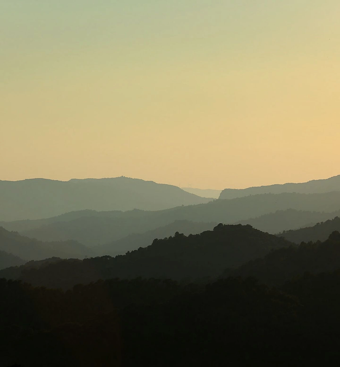 DH Homepage Journal Box Week 50 52 Stories Big Image