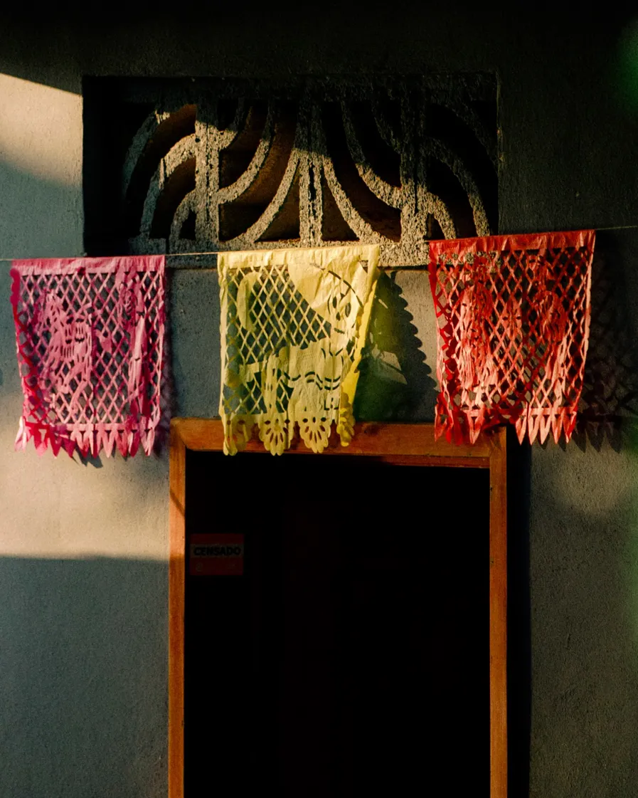 DH Earthcheck Header 01